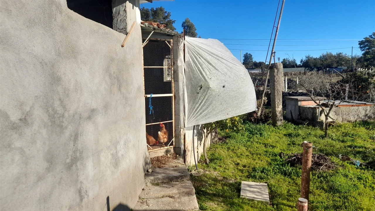 Quinta T0 para Venda em Escalos de Baixo e Mata Foto 33