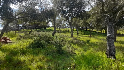 Terreno para Venda em Benquerenças