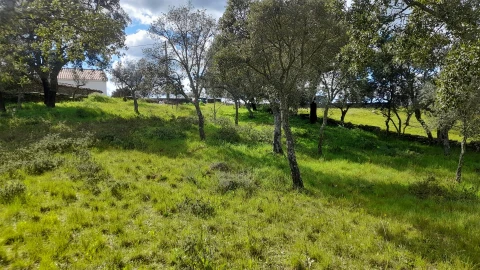 Terreno para Venda em Benquerenças