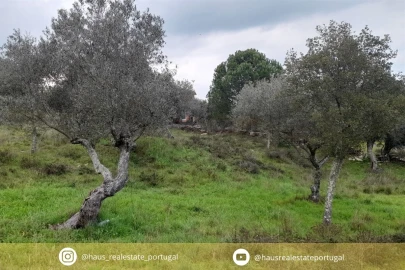 Terreno para Venda em Benquerenças