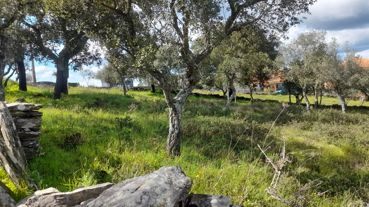 Terreno para Venda em Benquerenças Foto 9