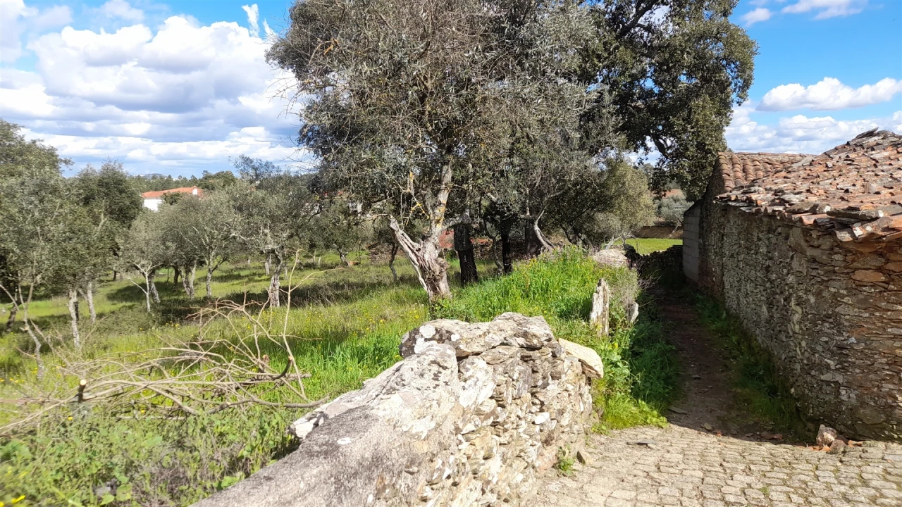 Terreno para Venda em Benquerenças Foto 4