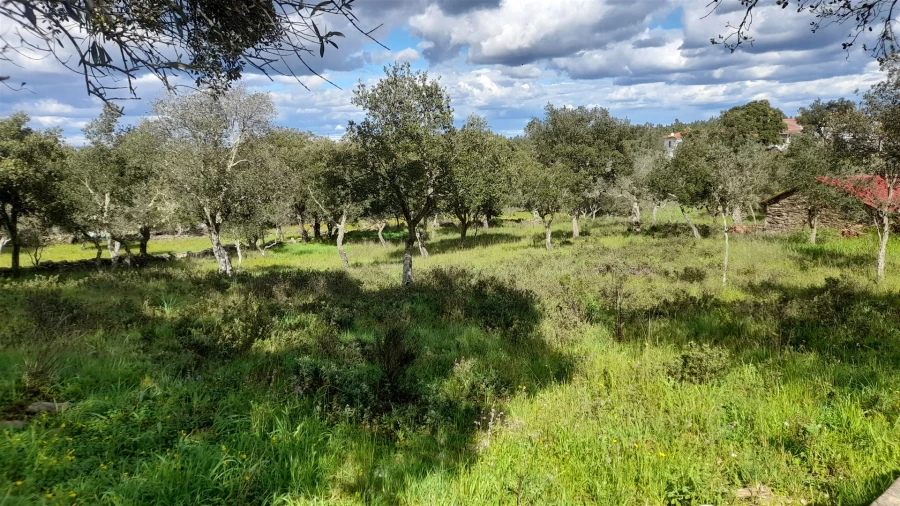 Terreno para Venda em Benquerenças Foto 6
