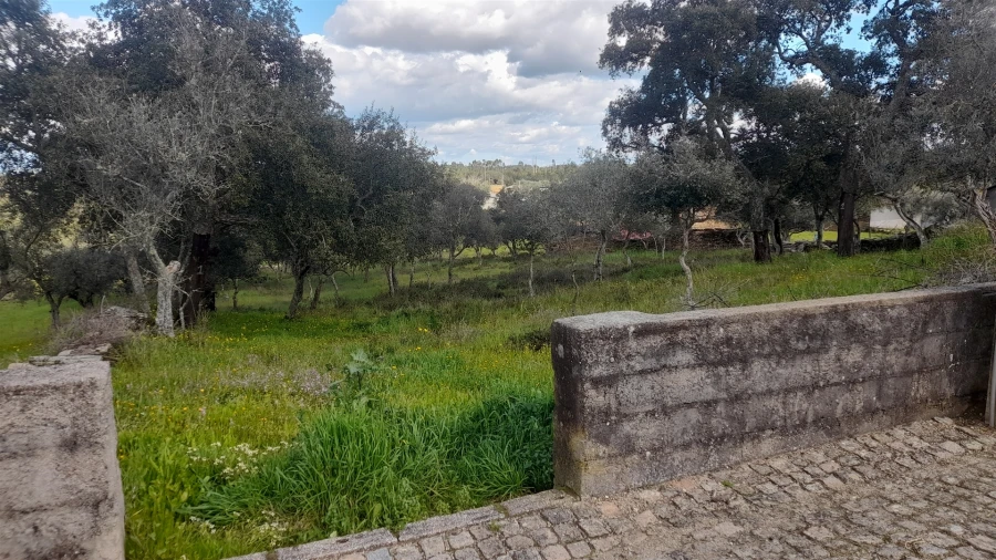 Terreno para Venda em Benquerenças Foto 3