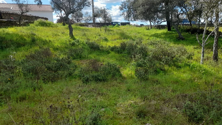 Terreno para Venda em Benquerenças Foto 18