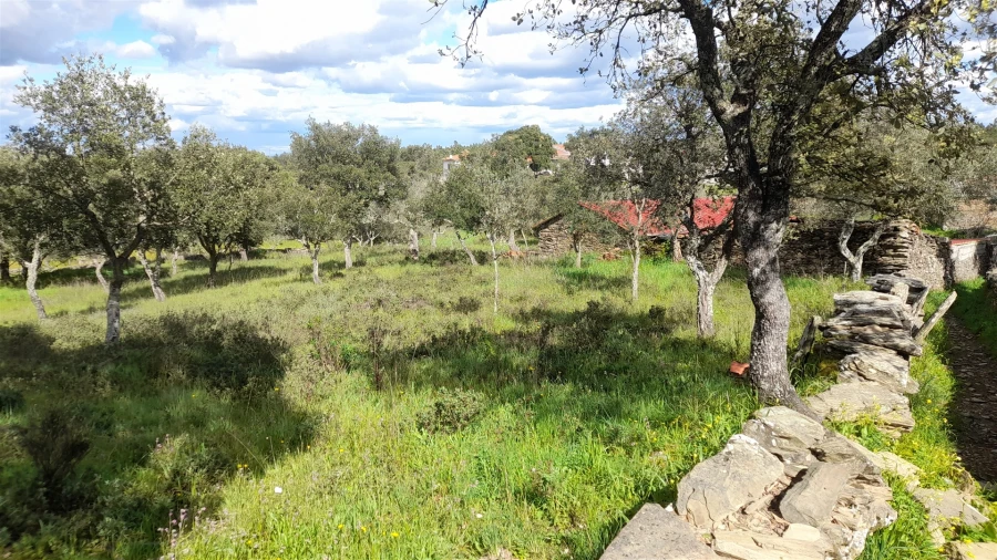 Terreno para Venda em Benquerenças Foto 7