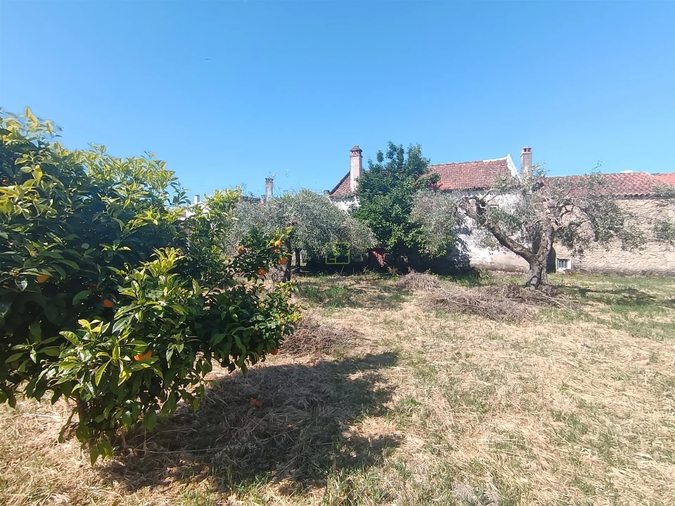 Moradia T0 para Venda em Aldeia de Santa Margarida Foto 8