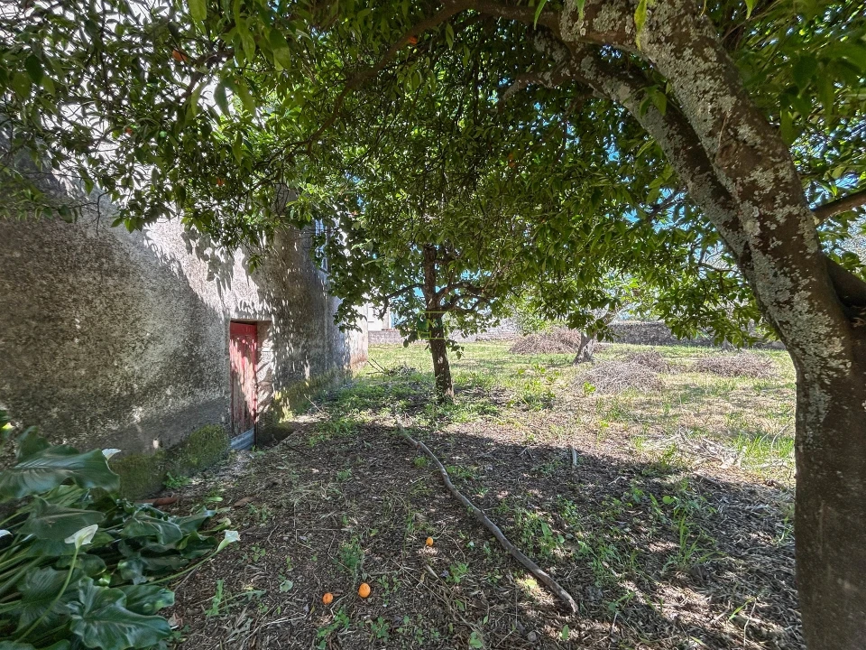 Moradia T0 para Venda em Aldeia de Santa Margarida Foto 36