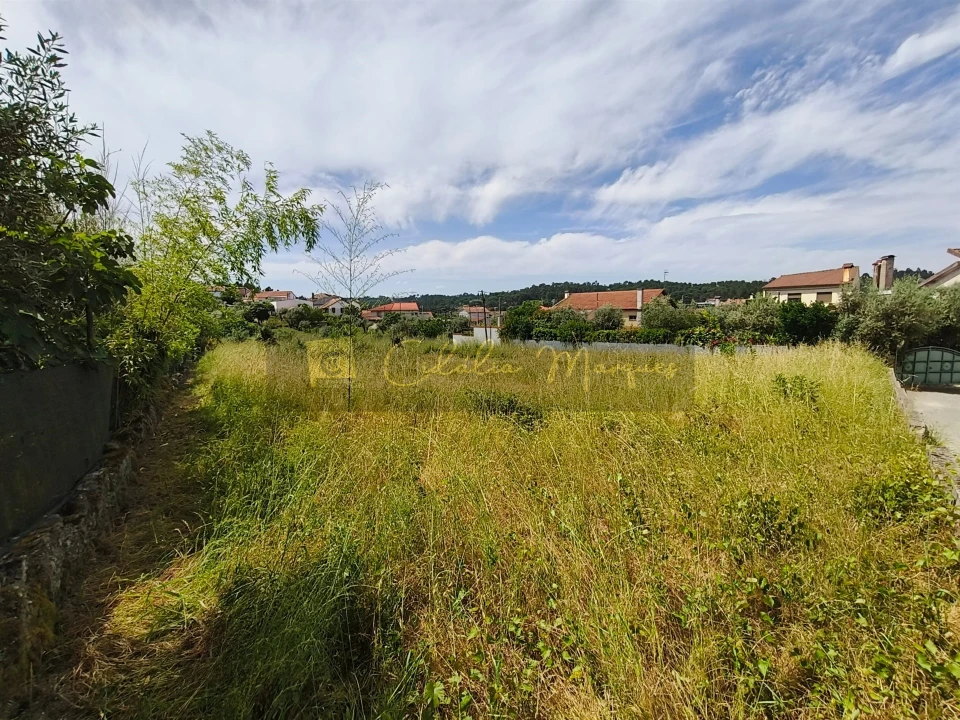 Terreno para Venda em São João de Lourosa Foto 5