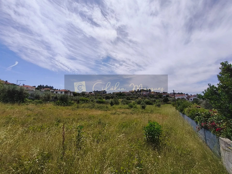 Terreno para Venda em São João de Lourosa Foto 2