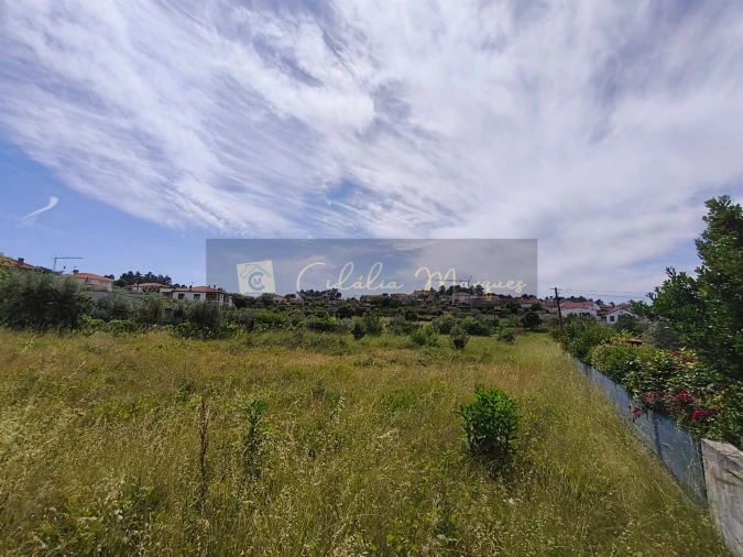 Terreno para Venda em São João de Lourosa Foto 2