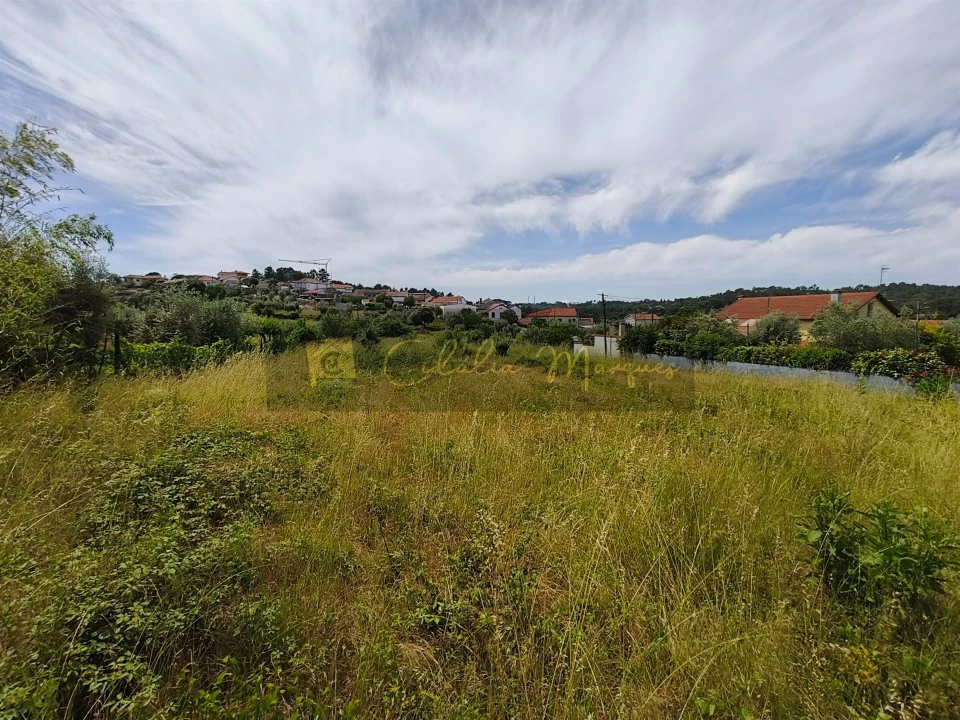 Terreno para Venda em São João de Lourosa Foto 3
