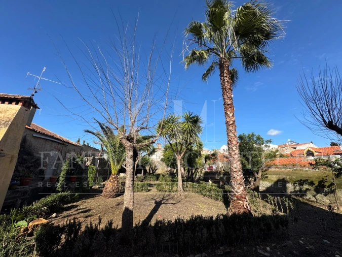 Moradia T8 para Venda em Crato e Mártires, Flor da Rosa e Vale do Peso Foto 36