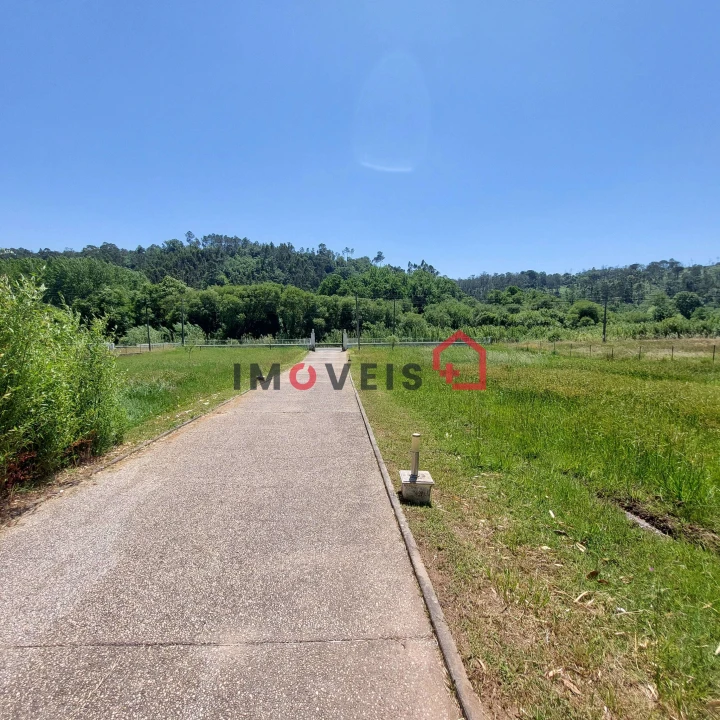 Quinta T5 para Venda em Gondemaria e Olival Foto 5