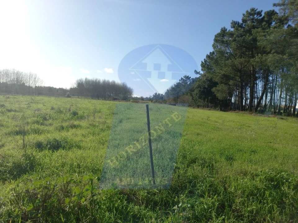 Terreno para Venda em Bustos, Troviscal e Mamarrosa Foto 3