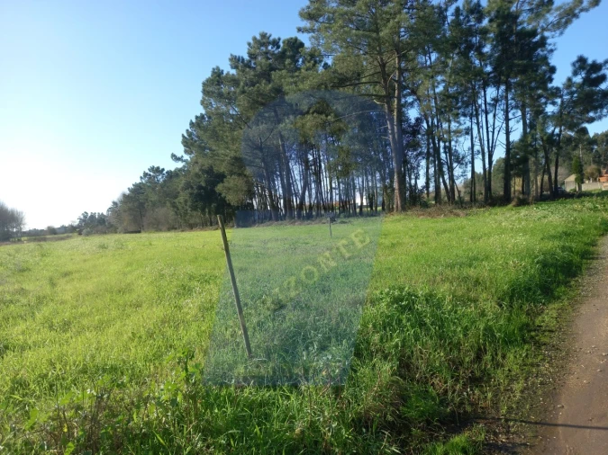 Terreno para Venda em Bustos, Troviscal e Mamarrosa Foto 2