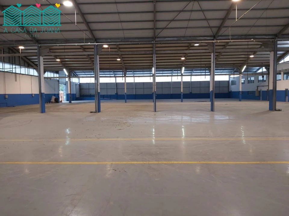 Armazém para Arrendamento em Travassô e Óis da Ribeira Foto 28