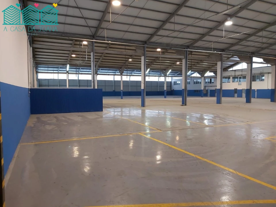 Armazém para Arrendamento em Travassô e Óis da Ribeira Foto 29