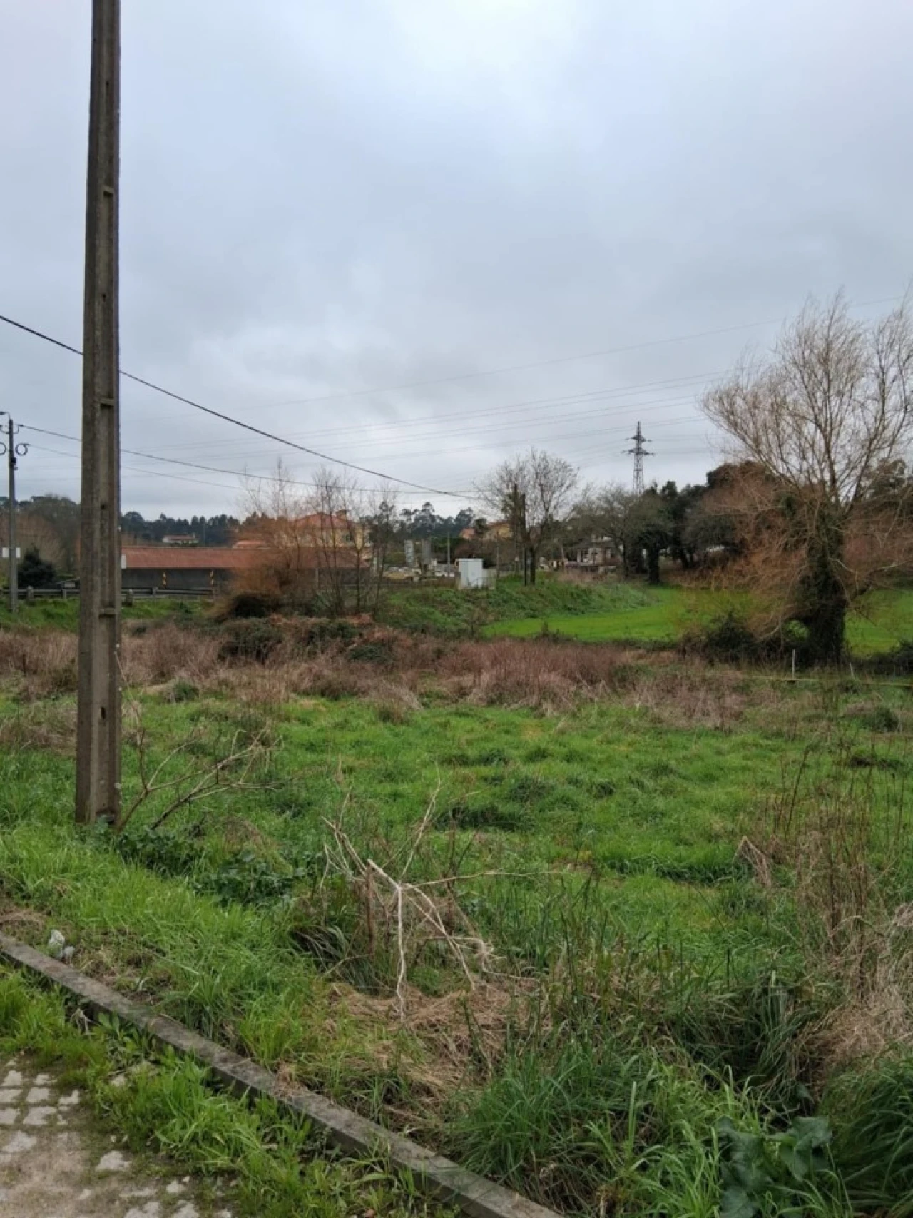Terreno para Venda em Palmeira de Faro e Curvos Foto 1