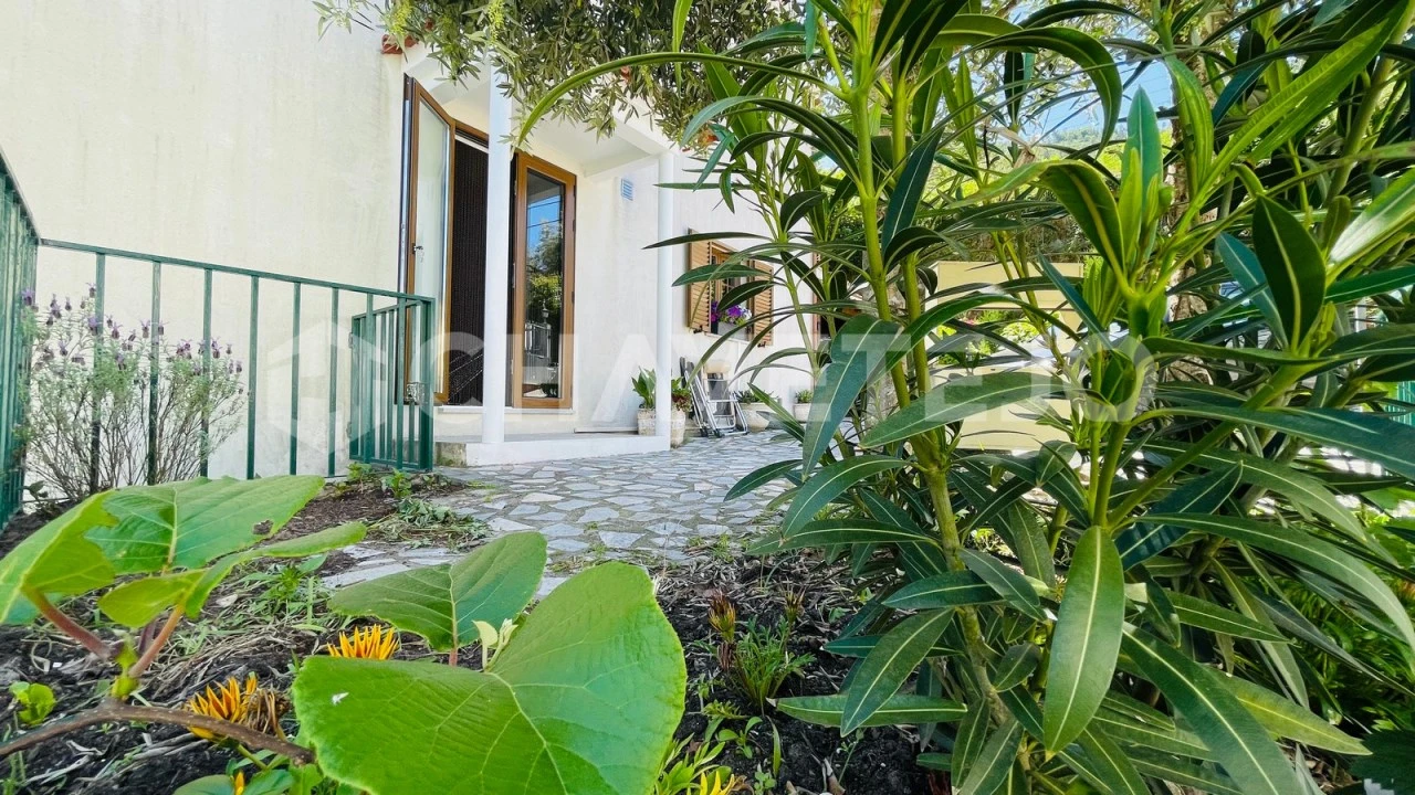 Quinta T6 para Venda em Avo Foto 46