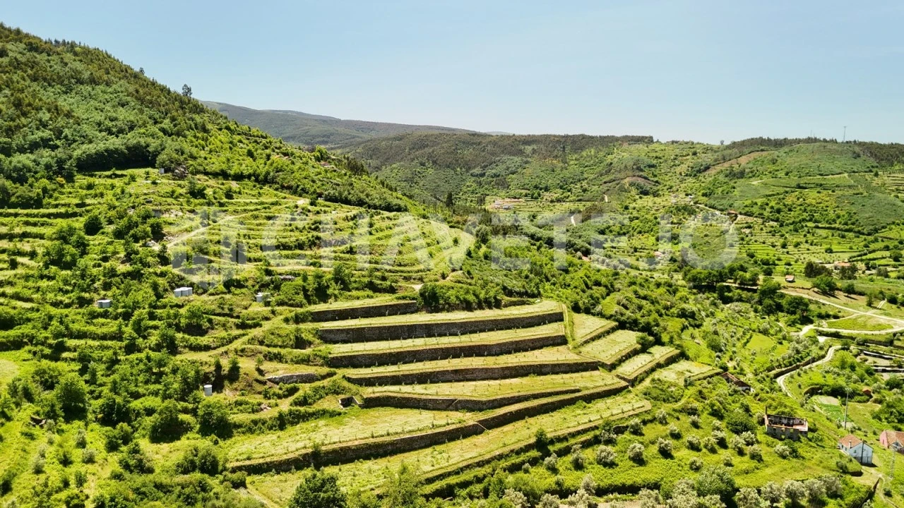 Quinta T6 para Venda em Avo Foto 66