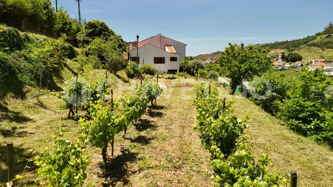 Quinta T6 para Venda em Avo Foto 69