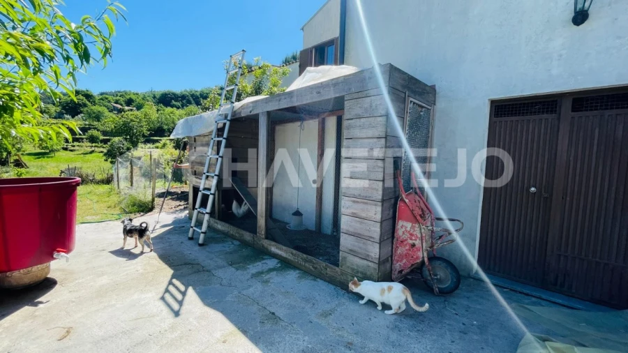 Quinta T6 para Venda em Avo Foto 49