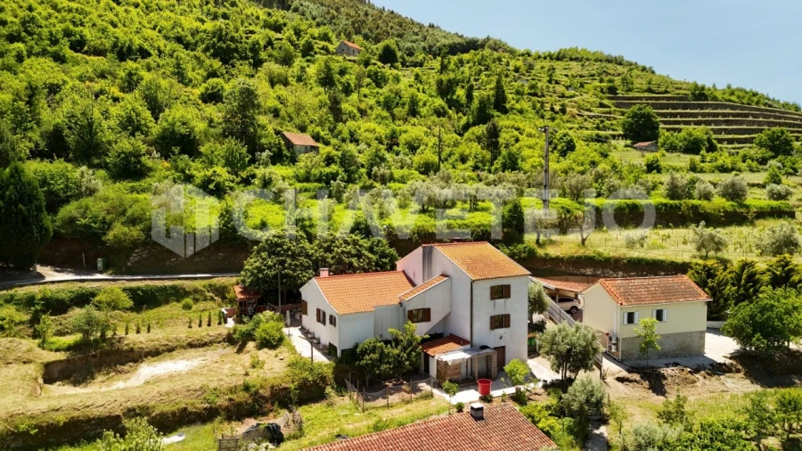 Quinta T6 para Venda em Avo Foto 62