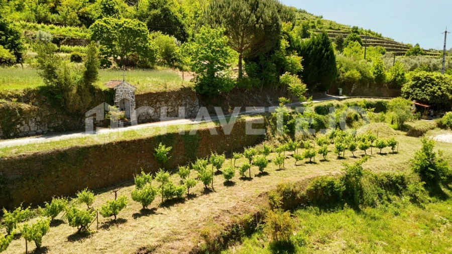 Quinta T6 para Venda em Avo Foto 68