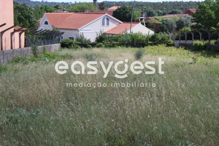 Terreno para Venda em São João Baptista e Santa Maria dos Olivais Foto 3