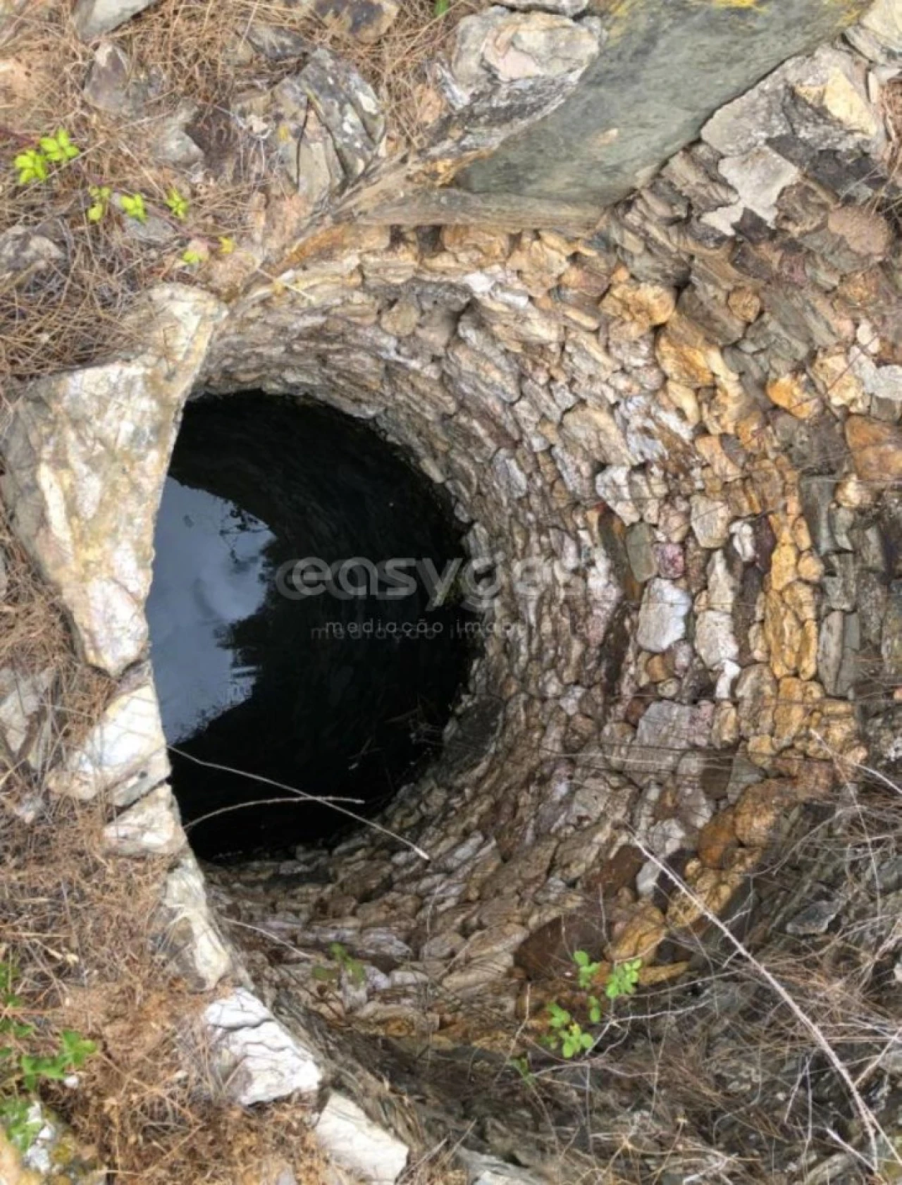 Quinta T4 para Venda em São Domingos e Vale de Água Foto 4