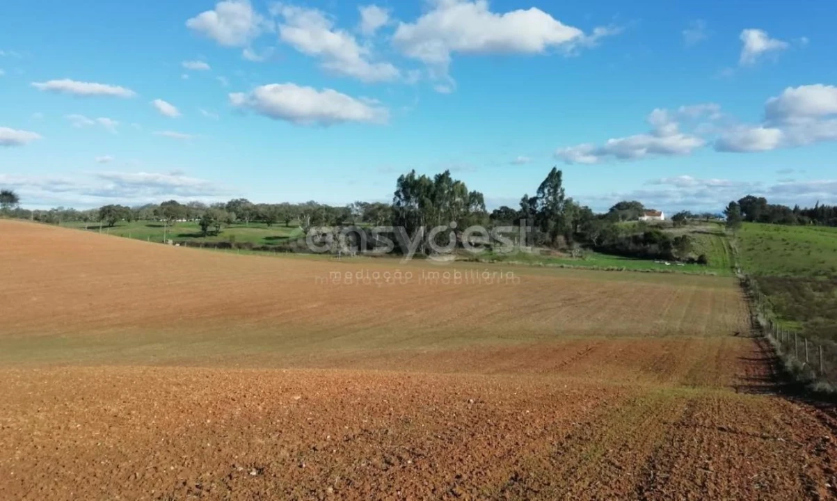 Quinta T4 para Venda em São Domingos e Vale de Água Foto 5
