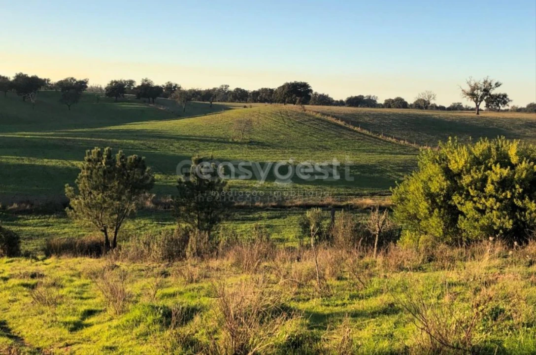 Quinta T4 para Venda em São Domingos e Vale de Água Foto 6