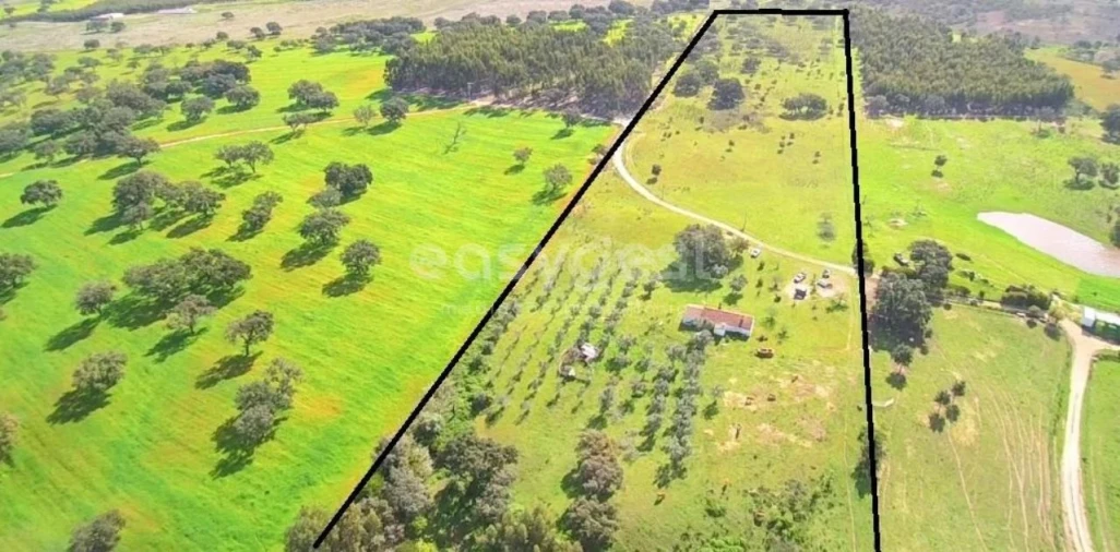 Quinta T4 para Venda em São Domingos e Vale de Água Foto 2