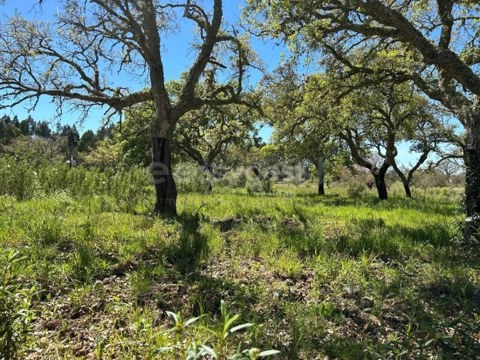 Quinta T4 para Venda em São Domingos e Vale de Água Foto 12