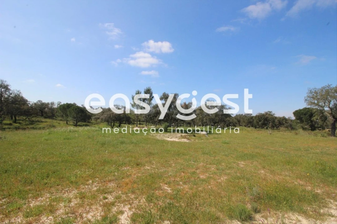 Terreno Agricola ou Rústico para Venda em Poceirão e Marateca Foto 1