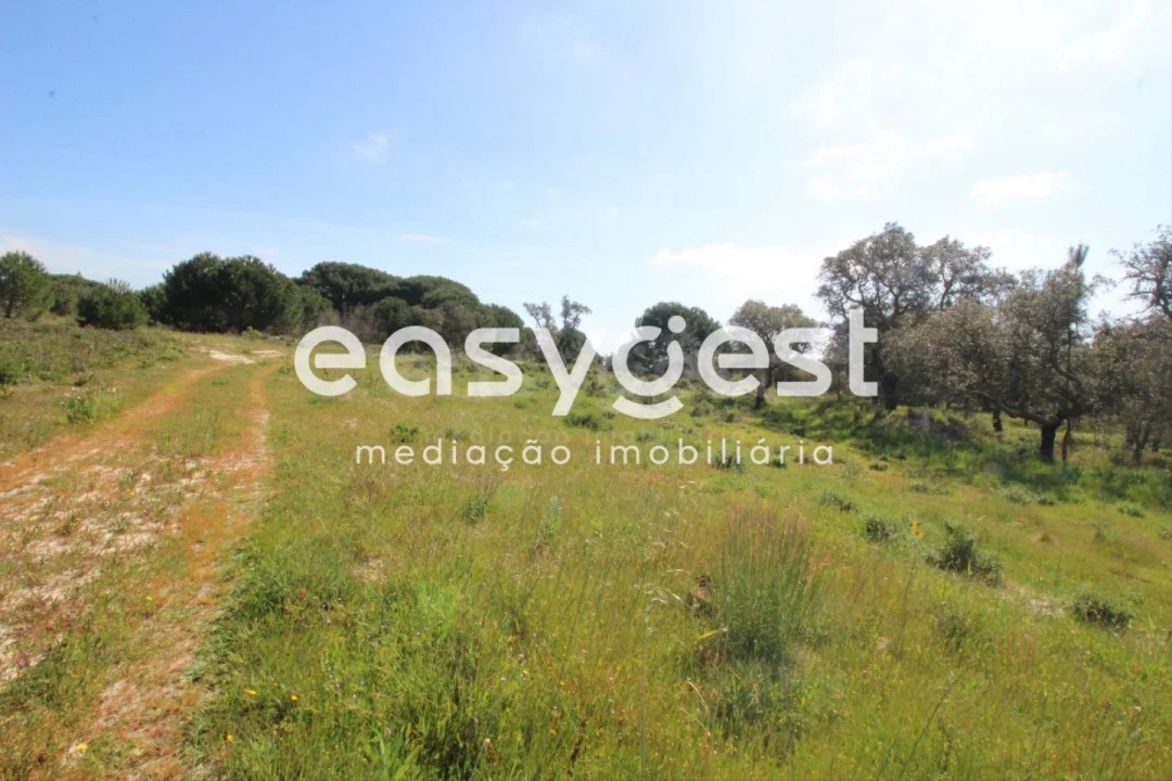 Terreno Agricola ou Rústico para Venda em Poceirão e Marateca Foto 2