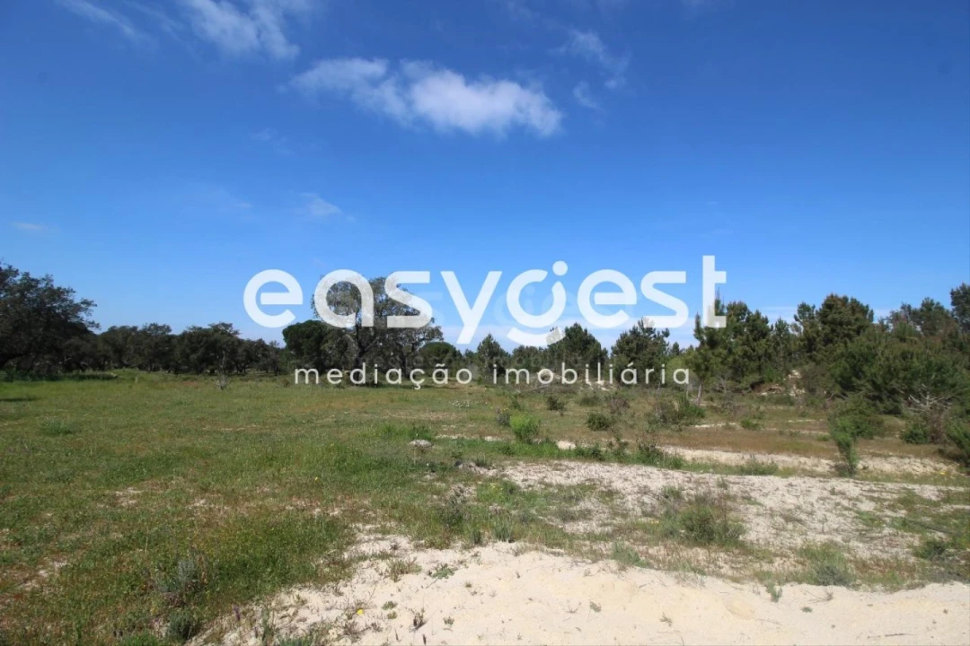 Terreno Agricola ou Rústico para Venda em Poceirão e Marateca Foto 4