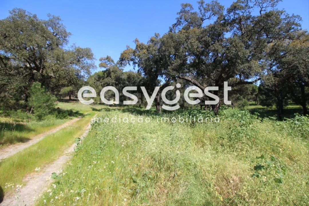 Terreno Agricola ou Rústico para Venda em Poceirão e Marateca Foto 6