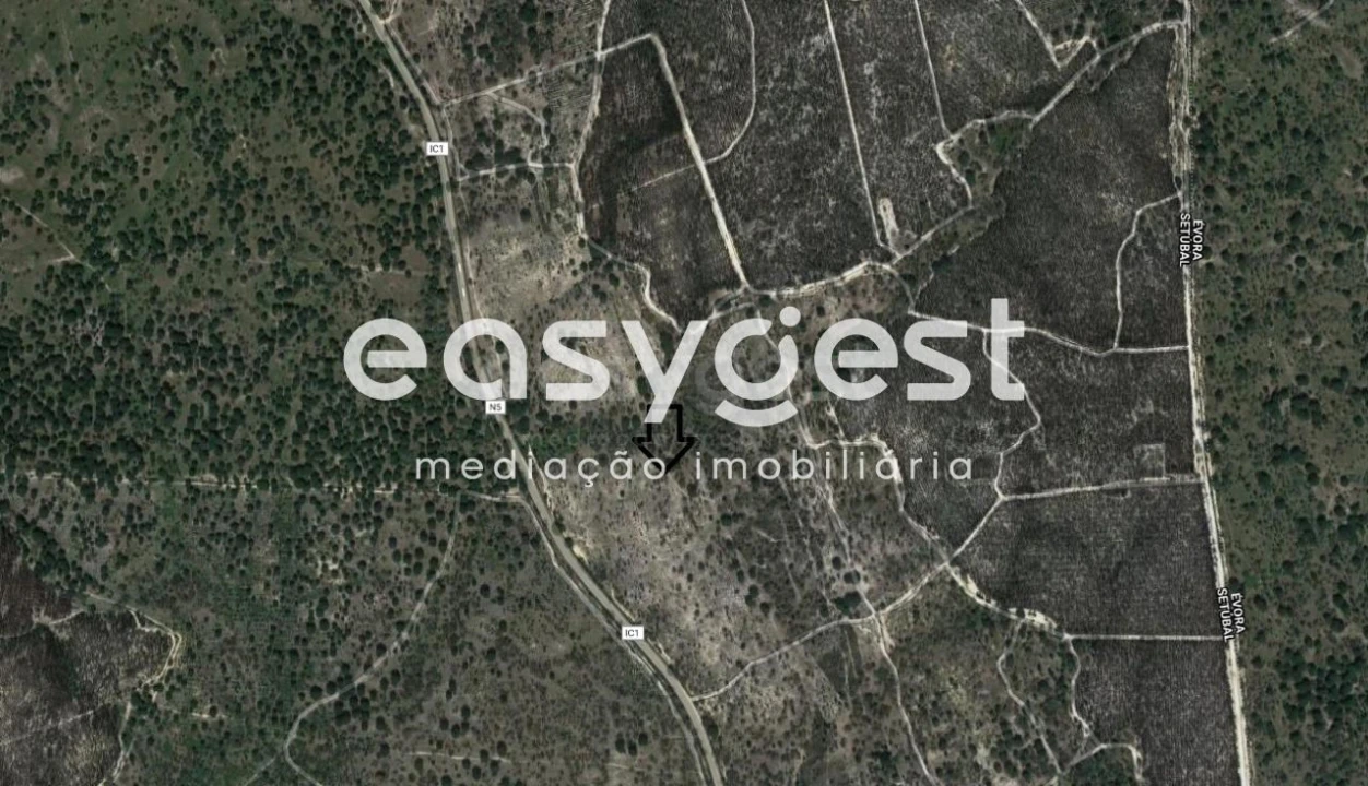 Terreno Agricola ou Rústico para Venda em Poceirão e Marateca Foto 8