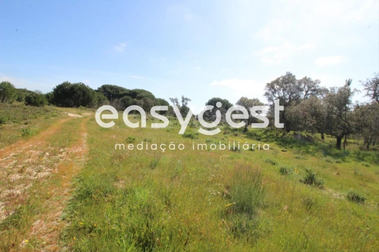 Terreno Agricola ou Rústico para Venda em Poceirão e Marateca Foto 2