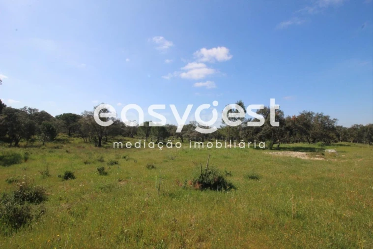 Terreno Agricola ou Rústico para Venda em Poceirão e Marateca Foto 3