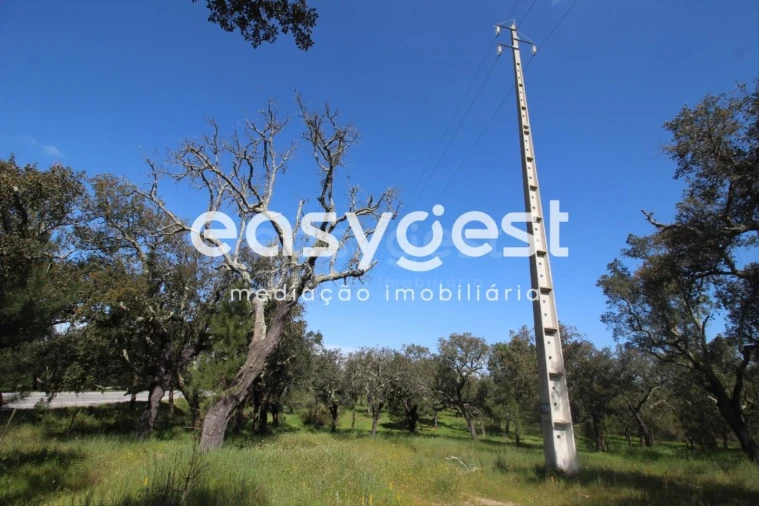 Terreno Agricola ou Rústico para Venda em Poceirão e Marateca Foto 7