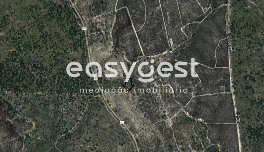 Terreno Agricola ou Rústico para Venda em Poceirão e Marateca Foto 8