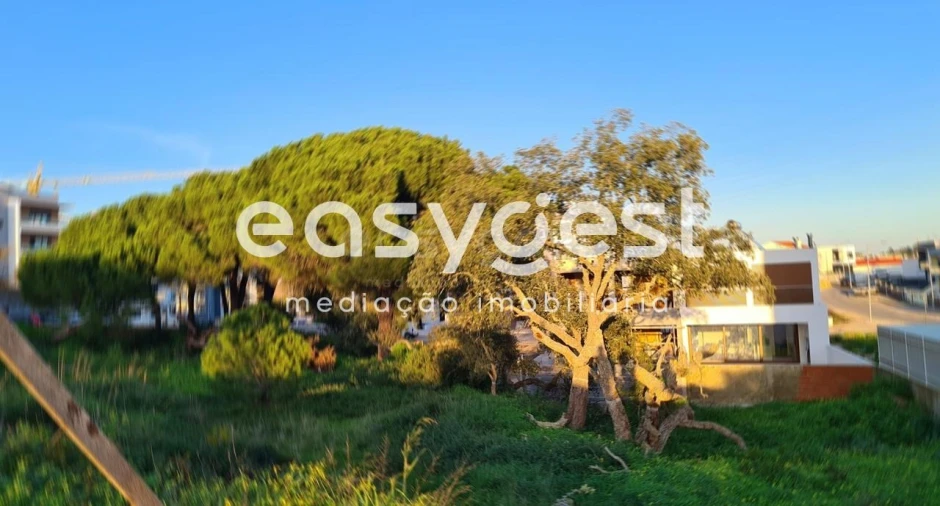 Terreno para Venda em Gambia-Pontes-Alto da Guerra Foto 4