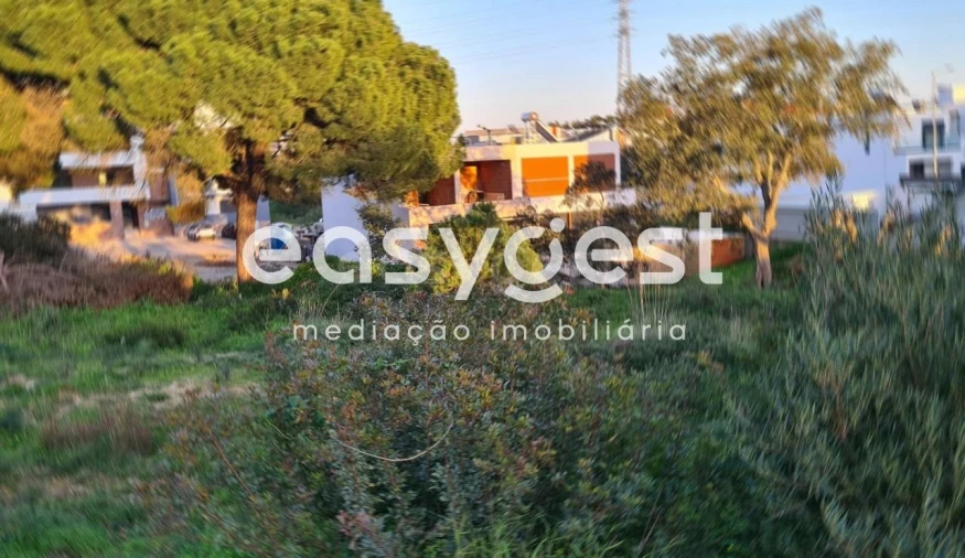 Terreno para Venda em Gambia-Pontes-Alto da Guerra Foto 5