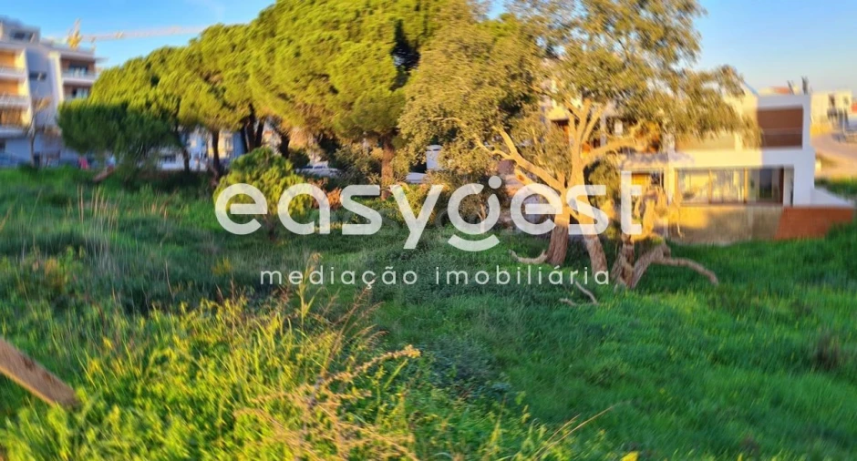 Terreno para Venda em Gambia-Pontes-Alto da Guerra Foto 6