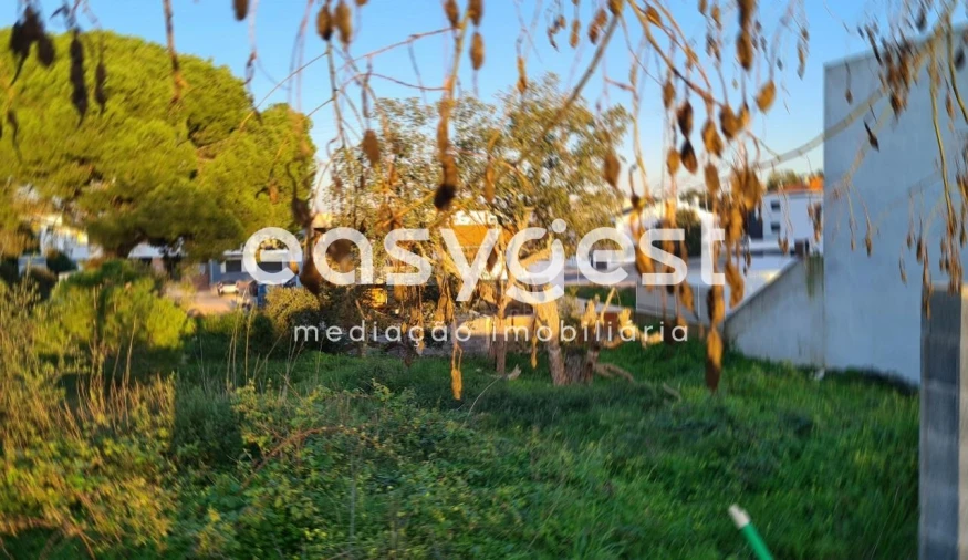 Terreno para Venda em Gambia-Pontes-Alto da Guerra Foto 7