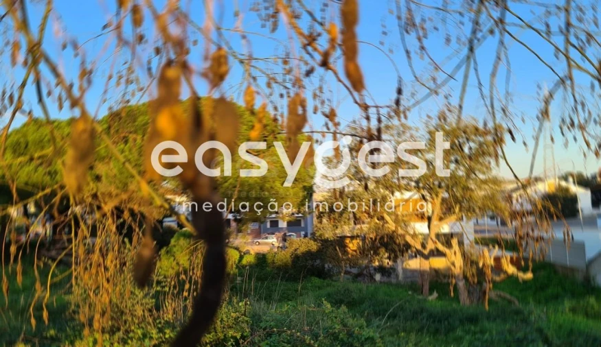 Terreno para Venda em Gambia-Pontes-Alto da Guerra Foto 11