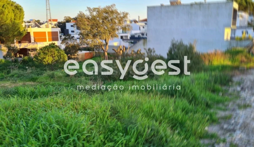 Terreno para Venda em Gambia-Pontes-Alto da Guerra Foto 12